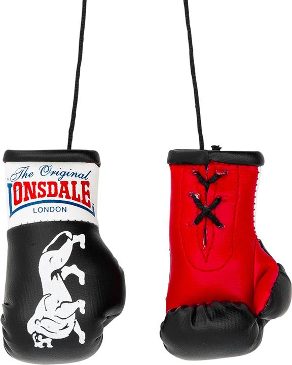 Image du produit Lonsdale Gants de boxe miniatures (Taille unique)