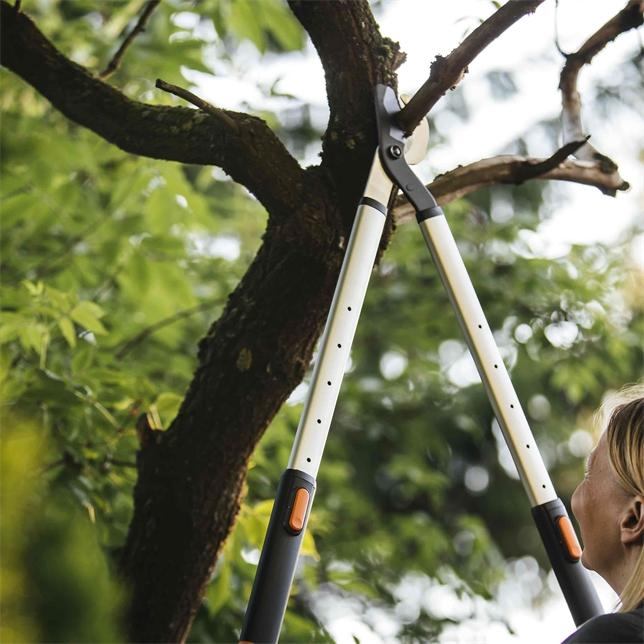 Image du produit Fiskars Sécateur d'élagage télescopique