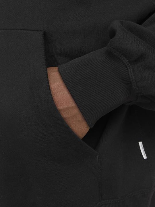 Immagine prodotto Jack & Jones Joraustin Font Sweat Hood Styd Aw24 (M)