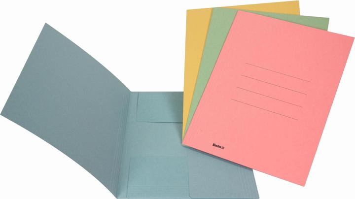 Image du produit Biella Dossier du jury du collecteur de fichiers (A4, 1 x)