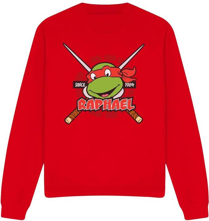 Teenage Mutant NT Since 1984 Sweatshirt