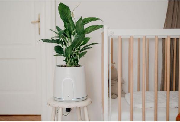 Image du produit Vitesy Natede Smart (20 m²)