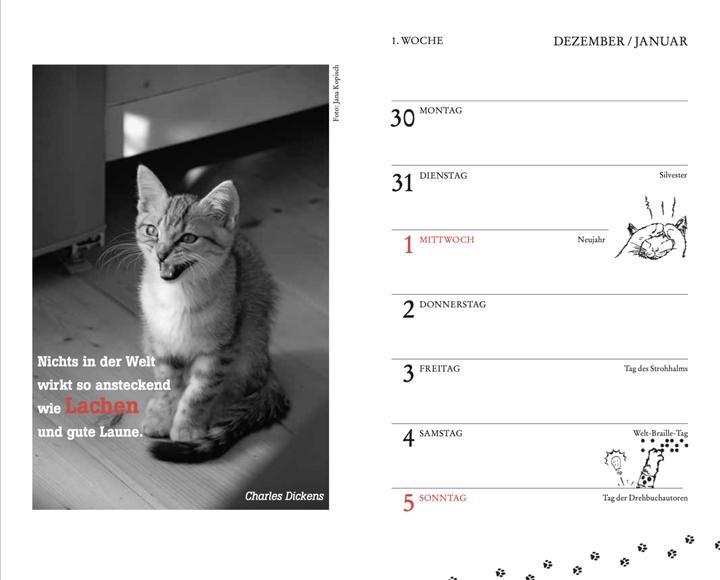 Image du produit Calendrier de poche pour chats 2025 (9,5 x 15 cm, Couverture rigide, Allemand)