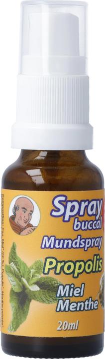 Image du produit Bioligo Spray buccal Père Michel Propolis (20 ml, Vaporisateur buccal)