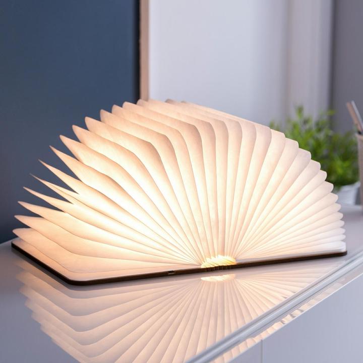 Immagine prodotto Gingko libro intelligente