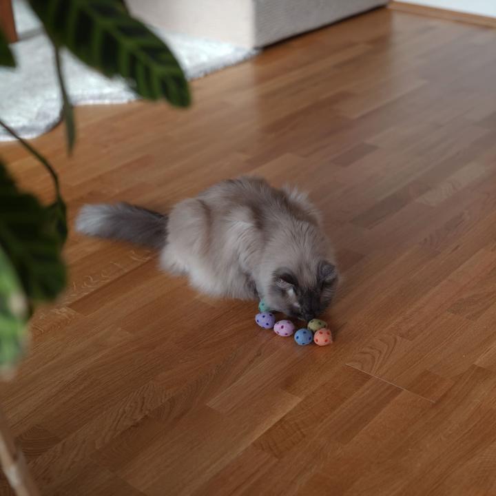 Produktbild LucyBalu RAINBOW EGGS Katzenbälle (Katzenminzespielzeug)