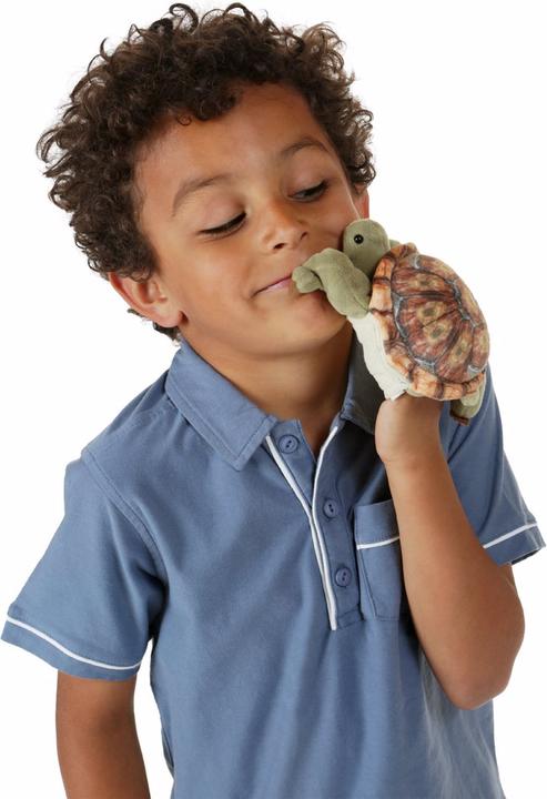 Produktbild Folkmanis Mini Landschildkröte