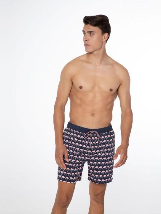 Produktbild Protest Herren Beachshort PRTOHLANDER Night SkyBlue S (S)