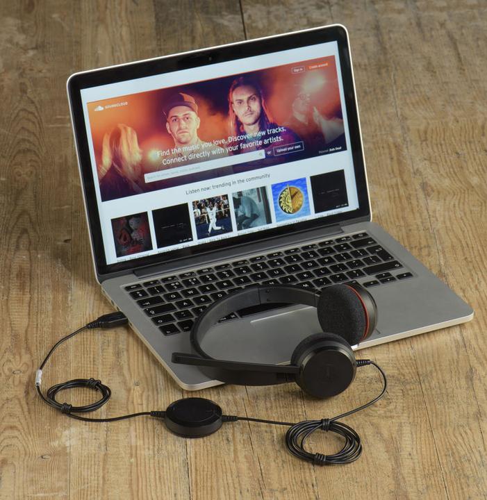 Immagine prodotto GN Netcom JABRA Evolve 20 Edizione Speciale Mono (Cablato, USB-A)