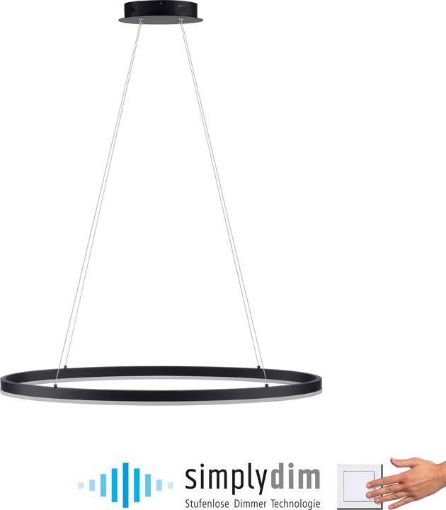 Image du produit Paul Neuhaus Titus (5150 lm)