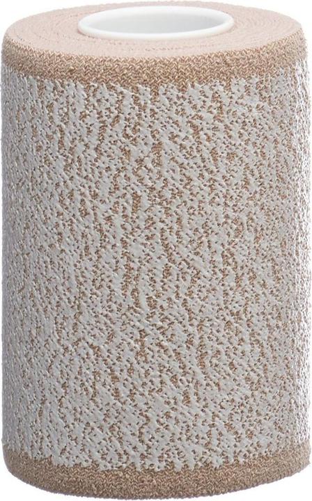 Produktbild Lohmann & Rauscher Pflasterbinde 10cmx2.5m hautfarbig (2.50 m)