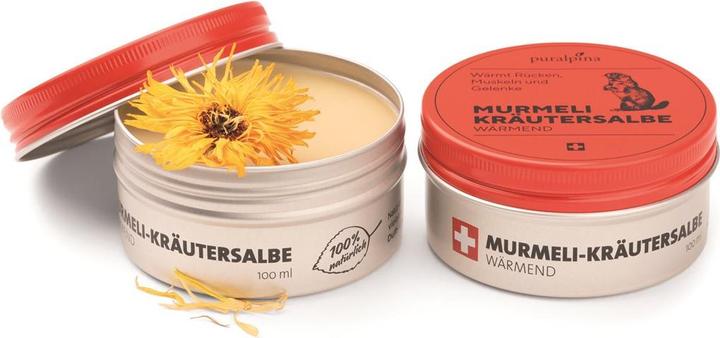 Image du produit Puralpina Pommade aux herbes Murmeli (1 x, 50 ml, 60 g)