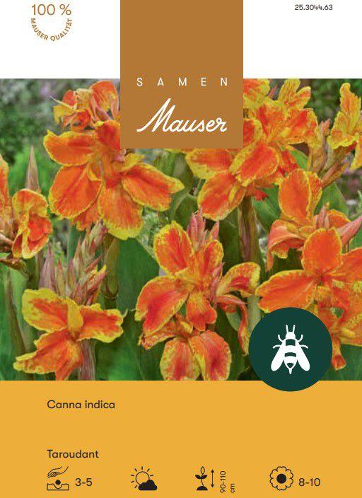 Produktbild Samen Mauser Canna Taroudant (Blumensamen)