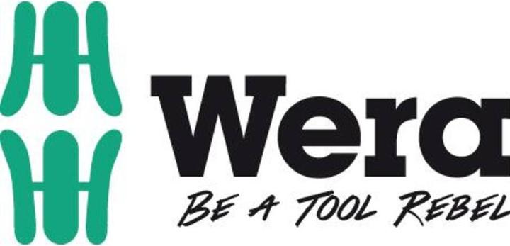 Productafbeelding Wera Bitset 10 stuks 8667-9/Z TORX (Zeskantbus TX M10, Zeskantbus TX M15, Zeskantbus TX M20, Zeskantbus TX M30, Zeskantbus TX M6, Zeskantbus TX M8, Zeskantbus TX M9, Zeskantbus TX M25, Zeskantbus TX M40)