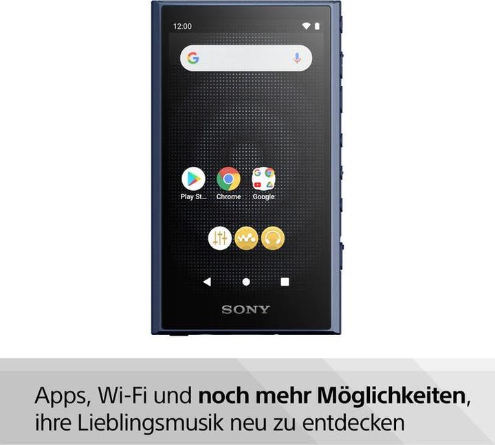 Immagine prodotto Sony NW-A306 (18 GB)