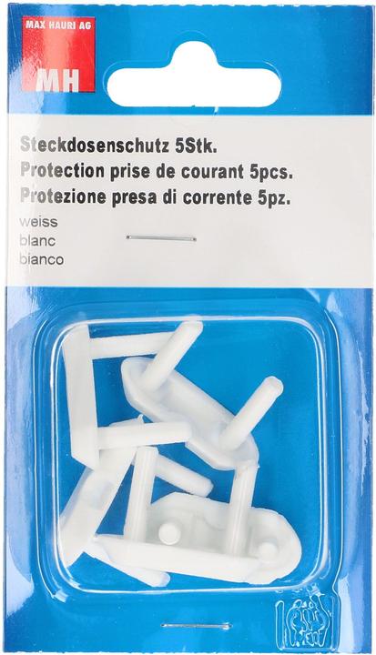Max Hauri Protezione della presa