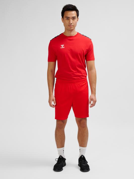 Image du produit hummel Hmlauthentic Pl Shorts (M)