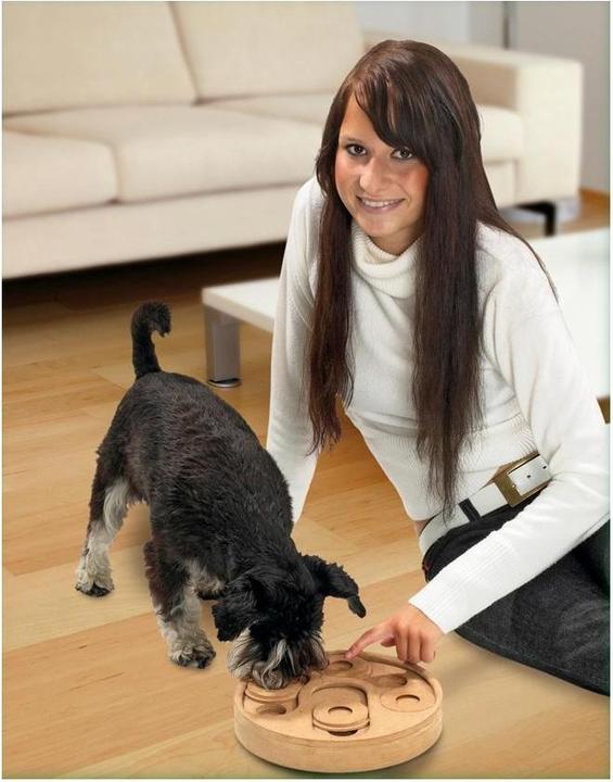 Image du produit Karlie train des cerveaux de chiens (Jouet intelligent chien)