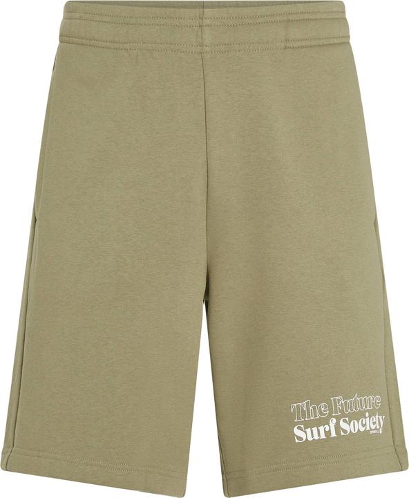 Produktbild O'Neill The Future Surf Society Shorts (L)