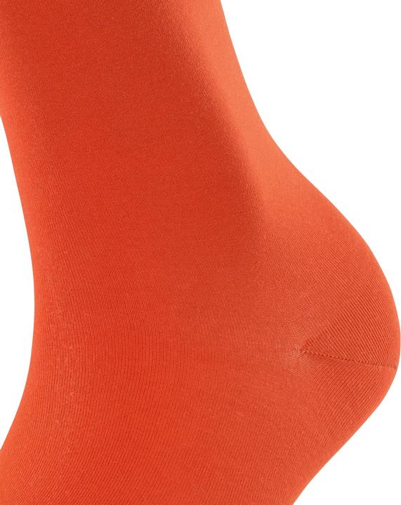 Immagine prodotto Falke Cotton Touch SO (Confezione singola, 39 - 42)