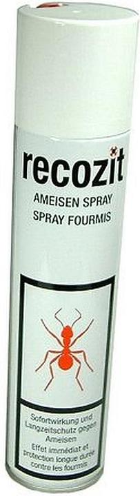 Produktbild Recozit Ameisen Spray (400 ml)