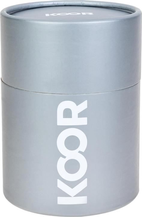 Actual product image Koor Thermo food container