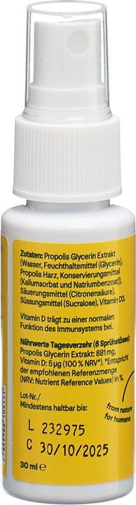Produktbild Heybee Propolis Immun Spray (1 Stück, Spray, 52 g)