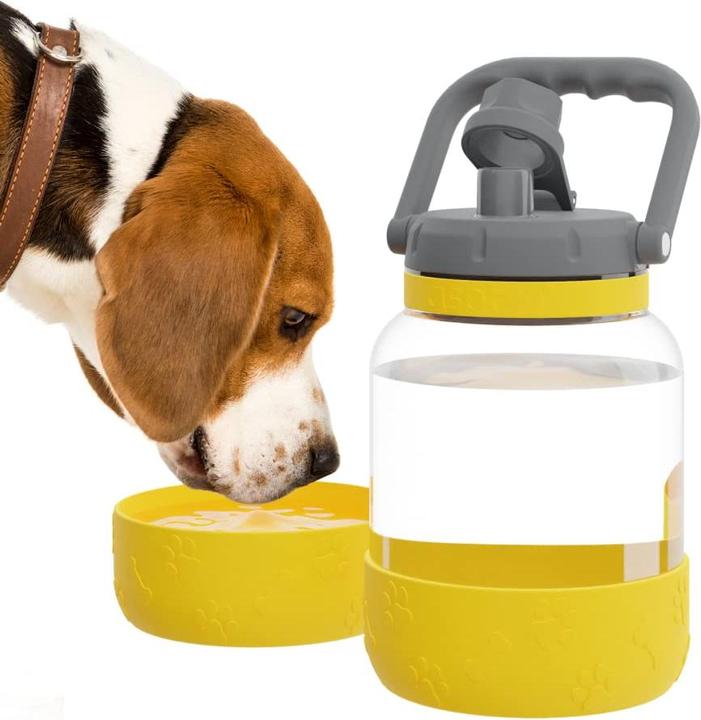 Produktbild Asobu The Barkley Dog Bowl (1 l)