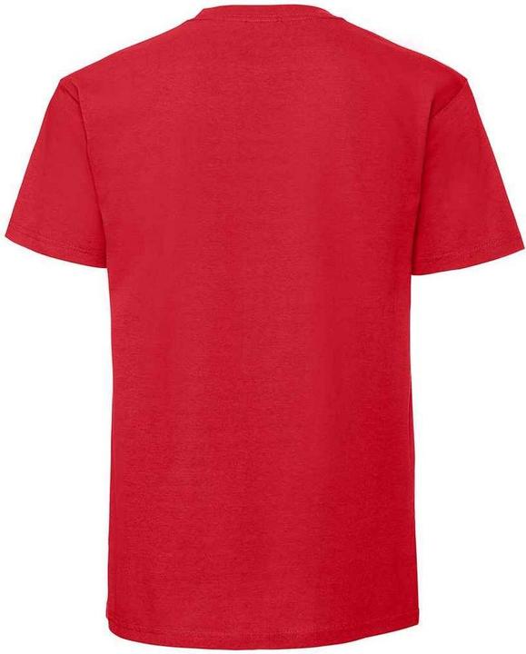 Actual product image Fruit of the Loom Mens Ringspun Premium T-Shirt (XXL)