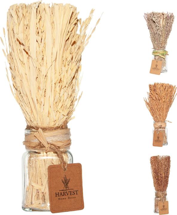 Image du produit Casativo Herbe décorative dans un verre décoratif (22 x 22 cm)