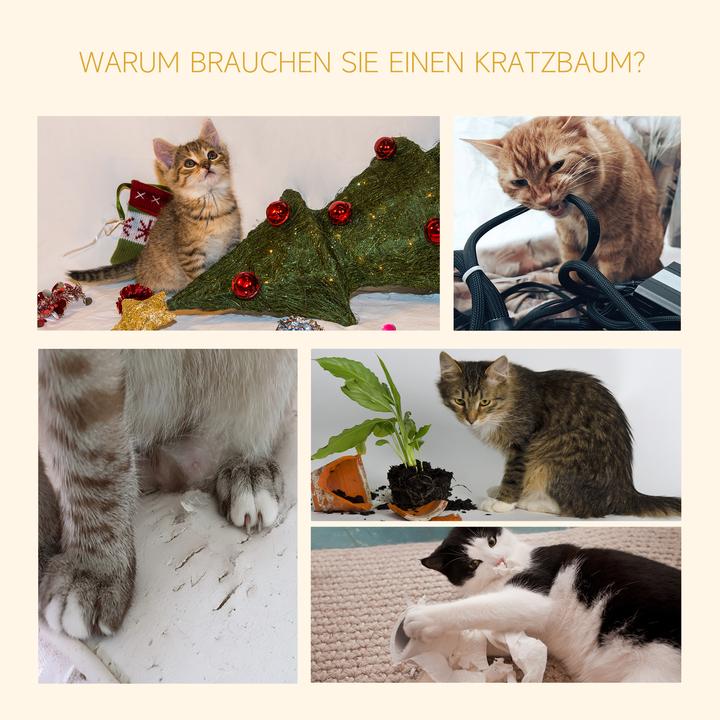 Image du produit PawHut Arbre à chat réglable en hauteur (260 cm, Dgrey)
