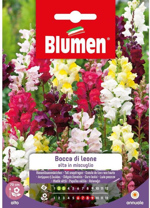 Image du produit Blumen Mélange de semences de gueules-de-loup géantes (Graines de fleurs)