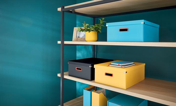 Image du produit Leitz CLICK & STORE COSY - Boîte Grande (A3)