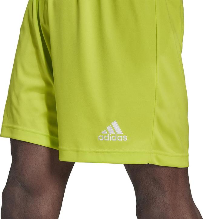 Actual product image adidas Entrada 22 Football Shorts Men (XXL)