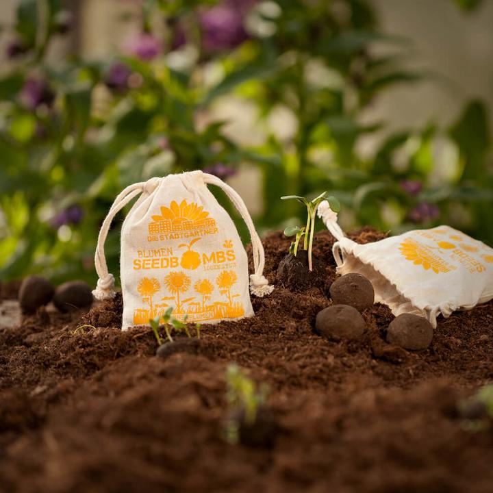 Produktbild Die Stadtgärtner Samenbomben Sonnenblume (Samenbomben)