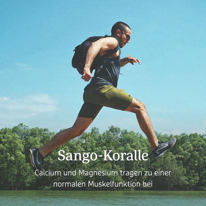 Produktbild Effective Nature Sango Meereskoralle (180 Stück, Kapseln, 161 g)