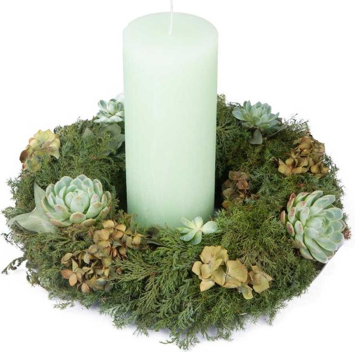Actual product image VEG and the City Reti (40 cm)