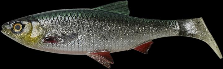Savage Gear 4D RIVER ROACH BULK Green Silver (18 cm)