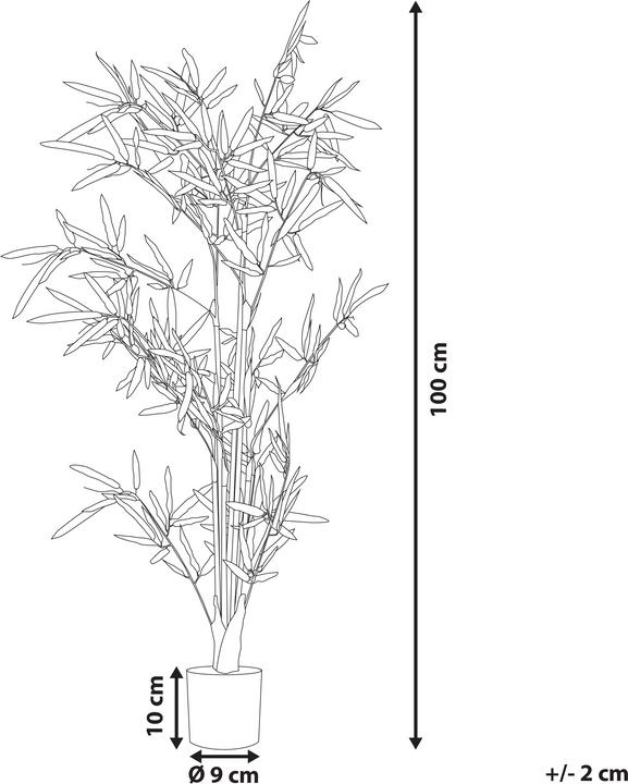 Produktbild Beliani Bambusa Vulgaris (100 cm)