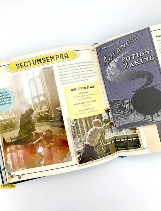 Immagine prodotto Panini Harry Potter: Die Zaubersprüche - Das Handbuch zu den Filmen (Tedesco, Jody Revenson., Barbara Knesl, Eva-Regine Rauch, 2019)