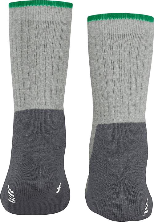Produktbild Falke Active Everyday (Einzelpack, 35 - 38)