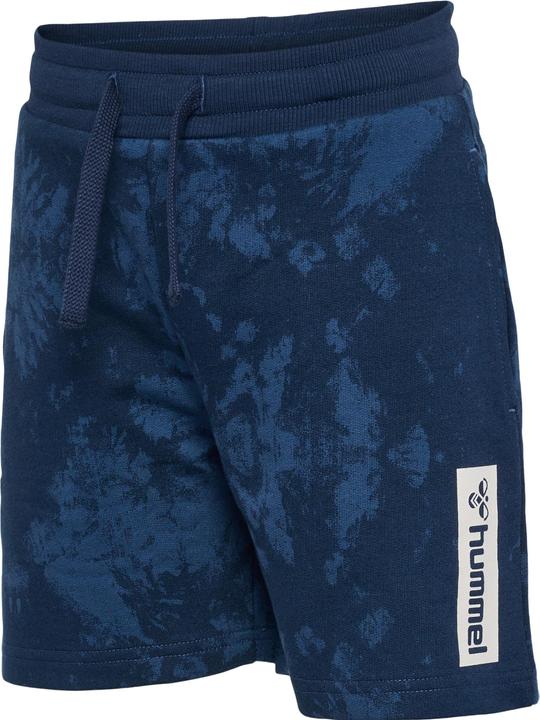 Actual product image hummel Hmljump Aop Shorts (146)
