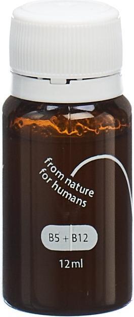 Immagine prodotto Heybee Gelee Royale Power Shot (10 Pezzo/i, Fiala, 224 g)