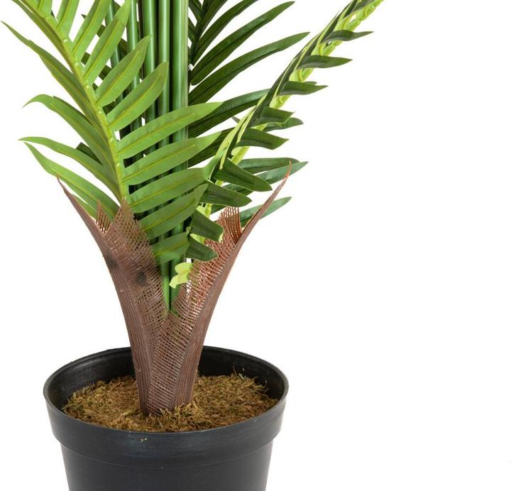 Image du produit Europalms Palmier Areca (180 cm)