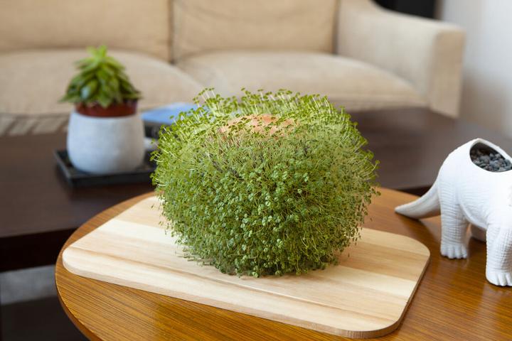Actual product image Kikkerland Green Orb (15 cm)