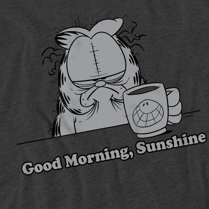 Actual product image Garfield Unisex Adult Good Morning Sunshine T-Shirt (M)