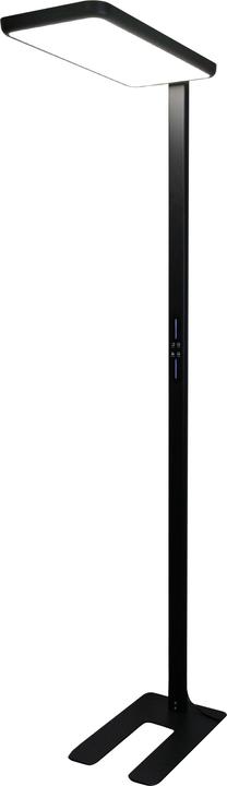 Luxula LED office floor lamp, up/down, black (7000 lm)