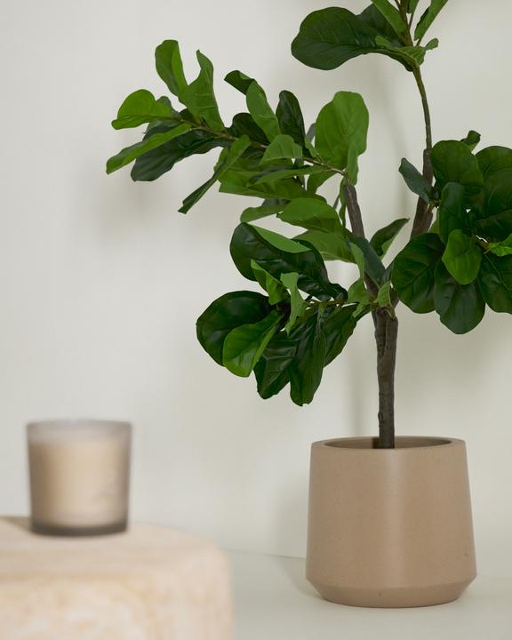 Actual product image Kave Home Ficus (150 cm)