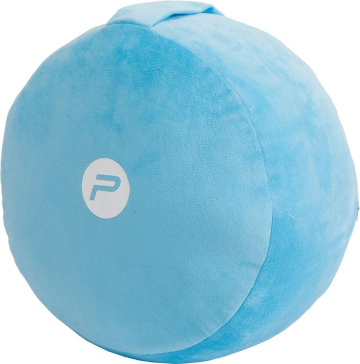 Actual product image Pure2improve Yoga Pillow