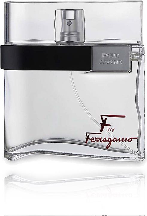 Image du produit Salvatore Ferragamo F Noir (Eau de toilette, 100 ml)
